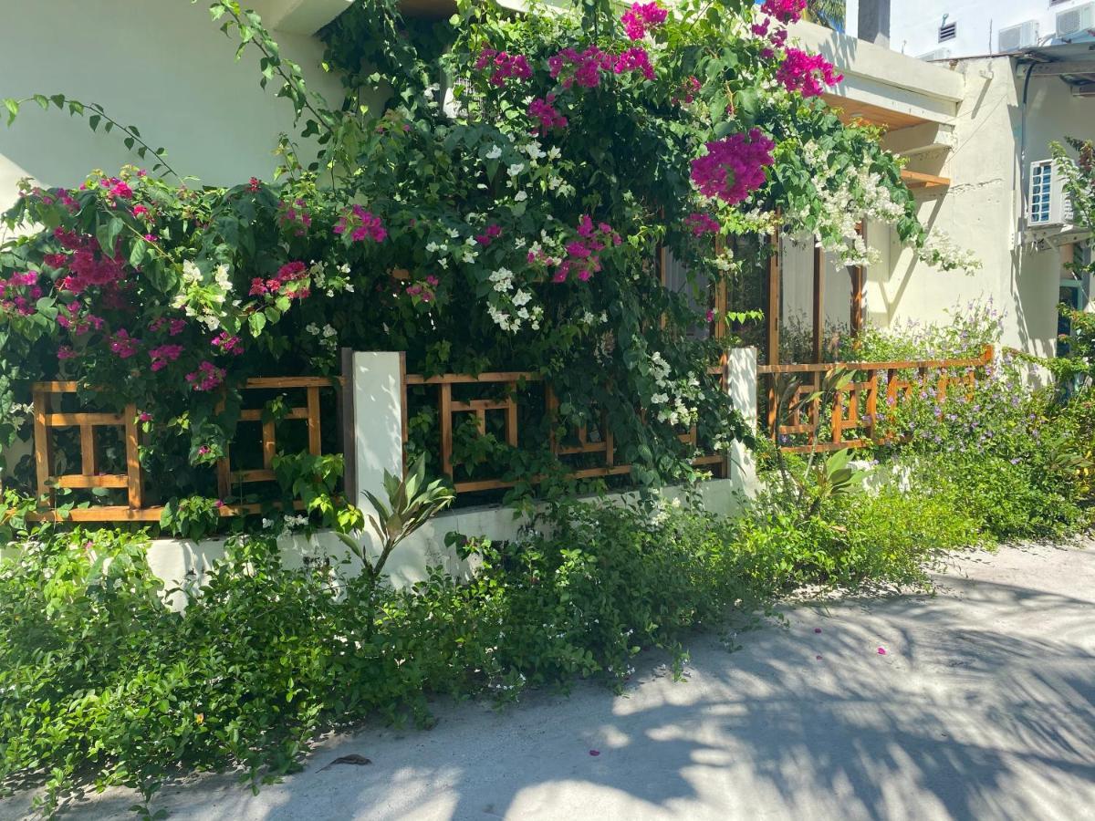 Bougainvillea Inn - Maldives Fulidhoo Zewnętrze zdjęcie